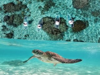 【今季から時給アップ】宮古島でのマリンアクティビティガイドのお仕事！10名の大募集です！