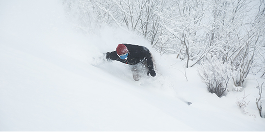 雪質が抜群