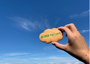 竜王スキーパーク