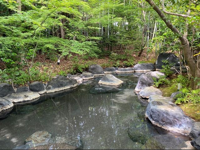 池じゃないです、広～い露天風呂です…！