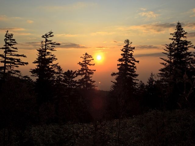 都会から離れた山奥で、ゆっくりと自然を感じながらくつろげます