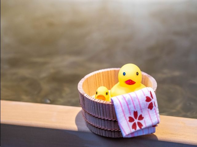 温泉も入れます