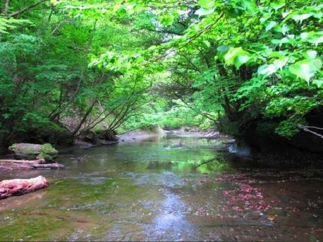 敷地内に河原があり自然を感じられます★☆