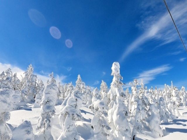 日本最大級のスキーリゾート！
全エリアを滑ることも可能です！！