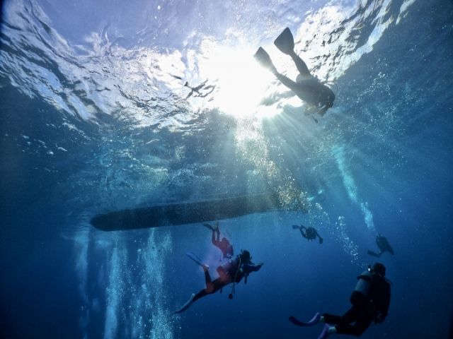 昼は海、夜は星空も楽しめます♪
魅力あふれる宮古島にぜひお越しください♪♪
