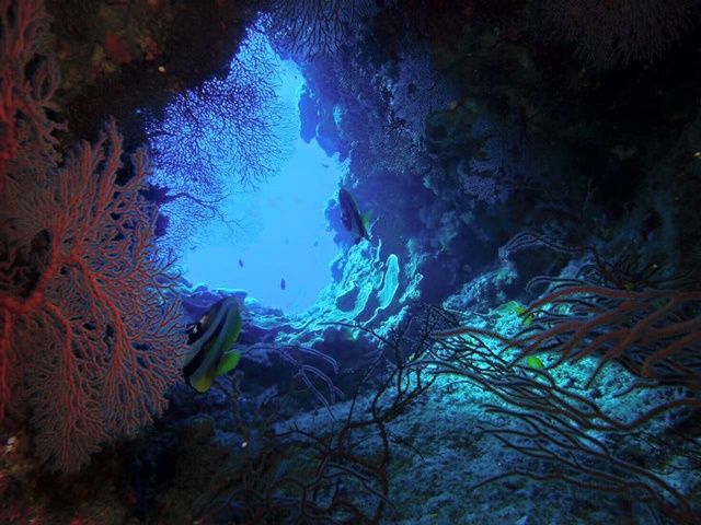 那覇市内にはマリンショップが豊富！慶良間諸島はじめ周辺離島に気軽にいけます☆