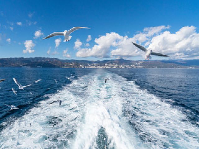 2026年オープニングスタッフ！！