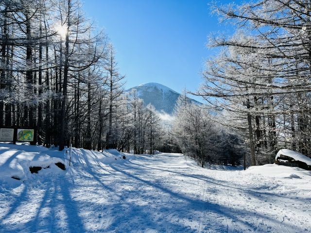 冬の蓼科はスキー場も有名ですが今しか見られない自然の景色もすごい！