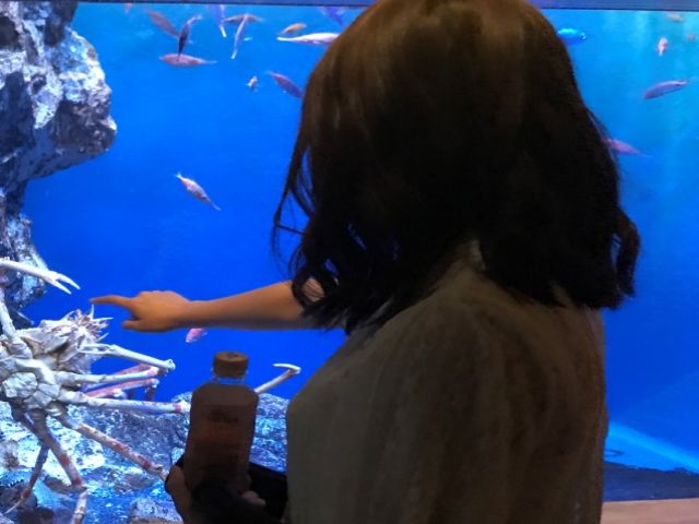 水族館もあります♪