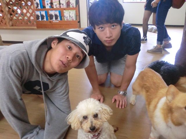 ワンちゃんと泊まれるホテルです