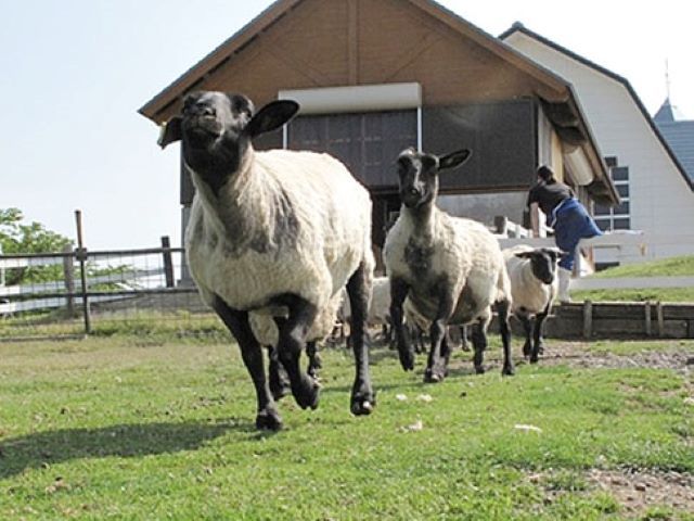 動物がいるテーマパークも近くにあります！休日はこちらで癒されましょう～