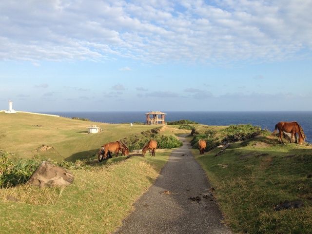大自然に囲まれた島でのんびりリゾバライフをエンジョイしませんか！？