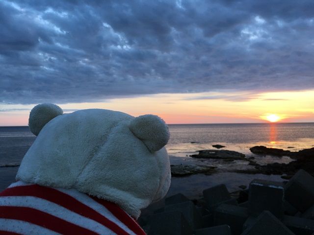 【利尻島募集】夏はほぼ30℃以下！涼しい立地でお仕事をしよう！