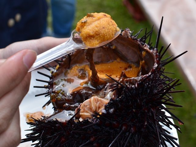 現地ではウニが無料で食べられるイベントも！？