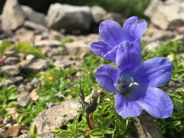 カラッとした気候は本州では想像もつかないくらい快適です！