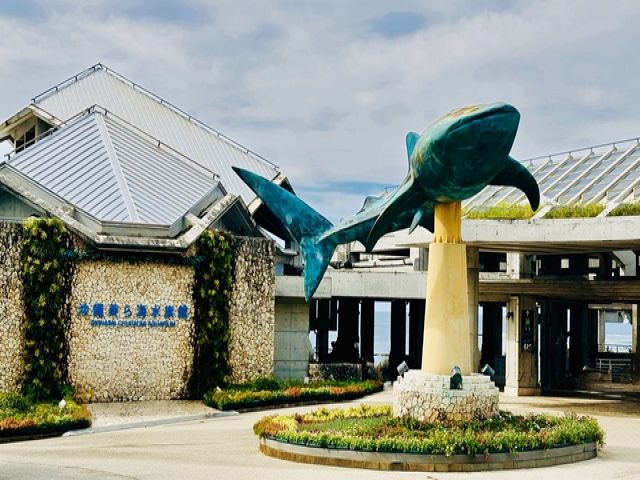 美ら海水族館までもバスで行けます★