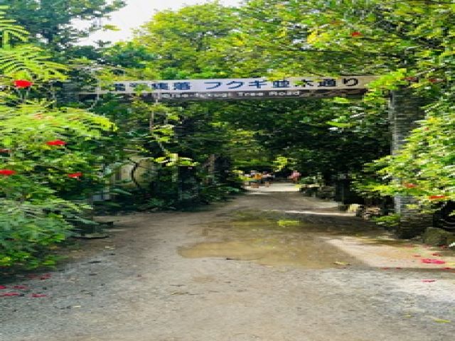 憧れの沖縄・・・☆インスタ映えスポットたくさん☆