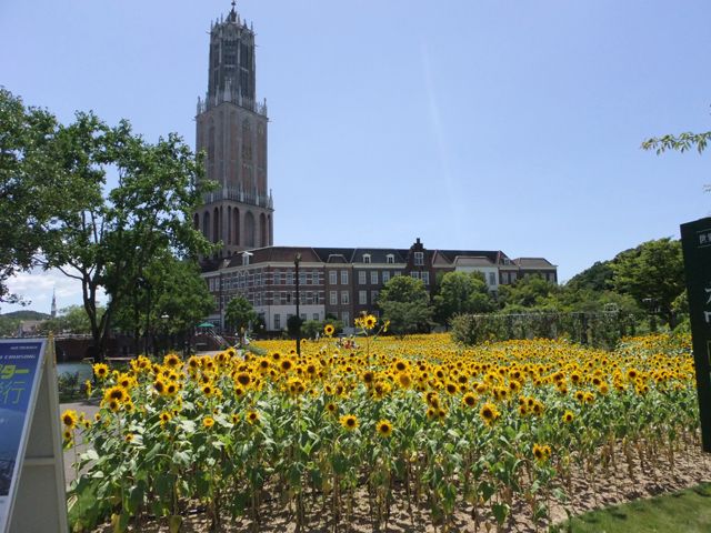 この夏は大型テーマパークでのお仕事いかがでしょうか！？