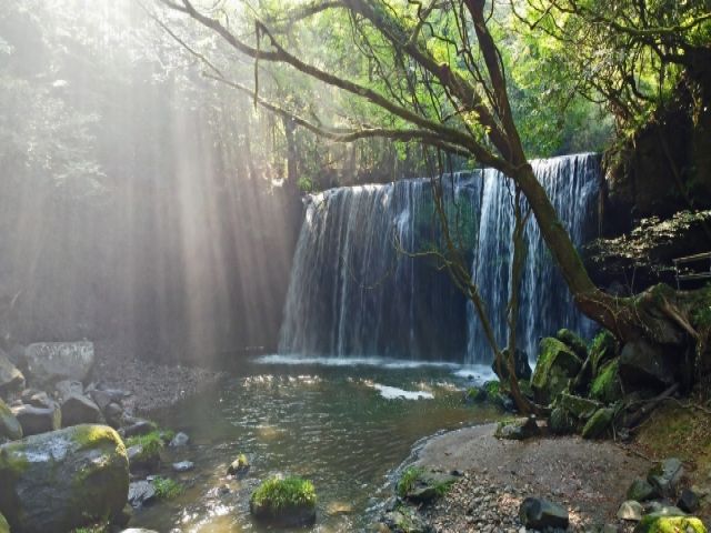 嬉しい休日もお食事付！