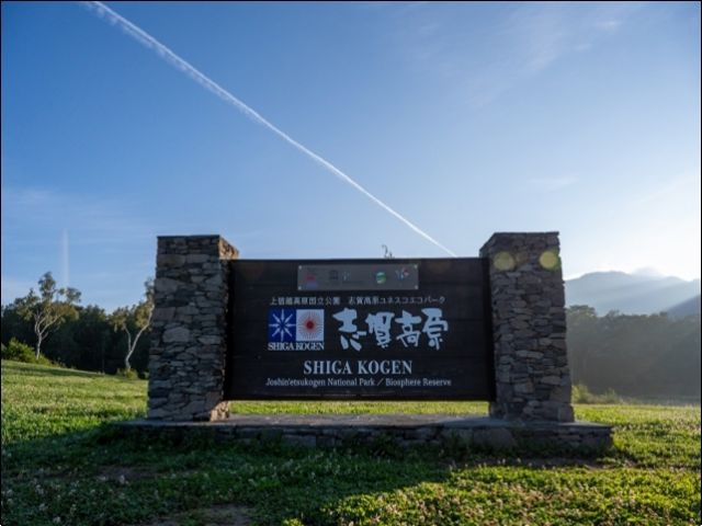 夏の早朝の空気は格別です！