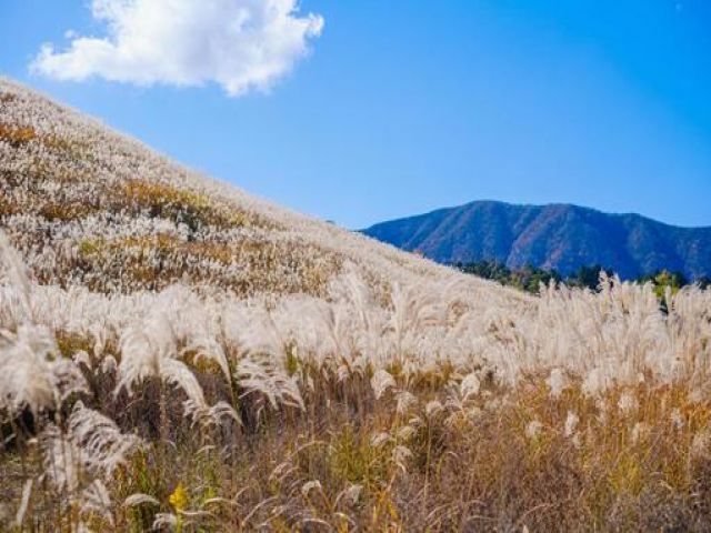 高品質なおもてなしで心から癒される時間を提供