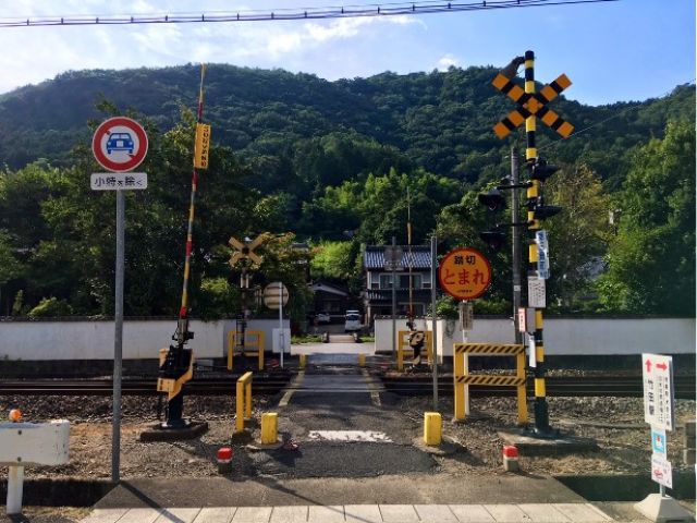 自然がお好きな方にもってこいの職場です♪