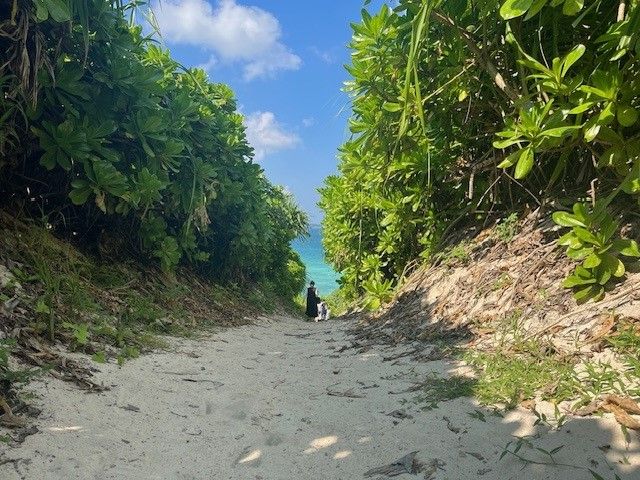 いつでも温暖な気候が人気の宮古島のお仕事！珍しい事務のお仕事です。