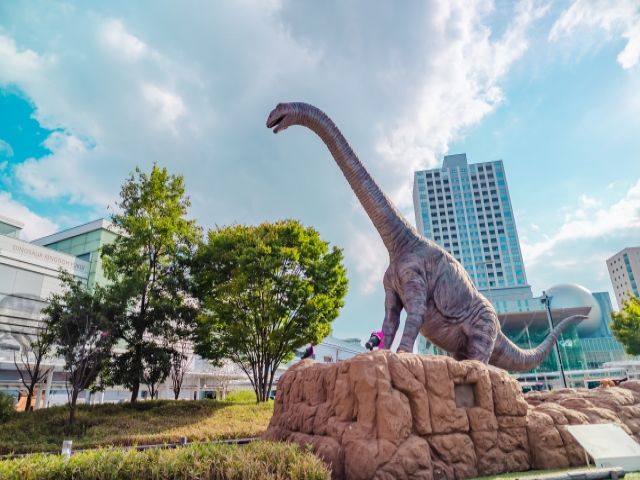 恐竜大国・福井！