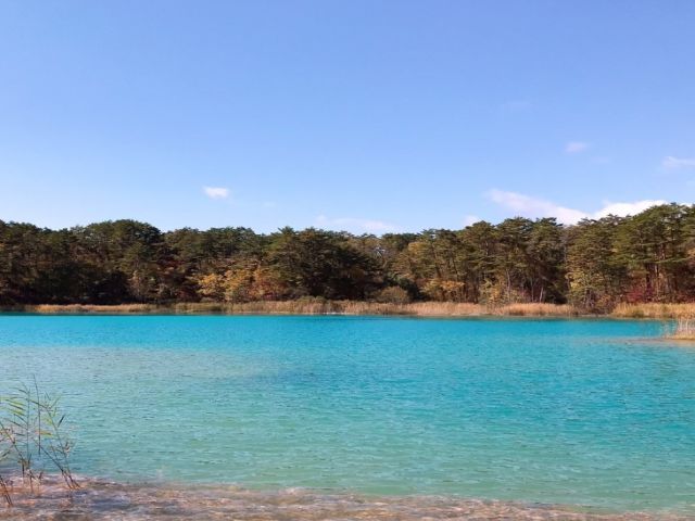 少し足を延ばすと自然もいっぱい☆