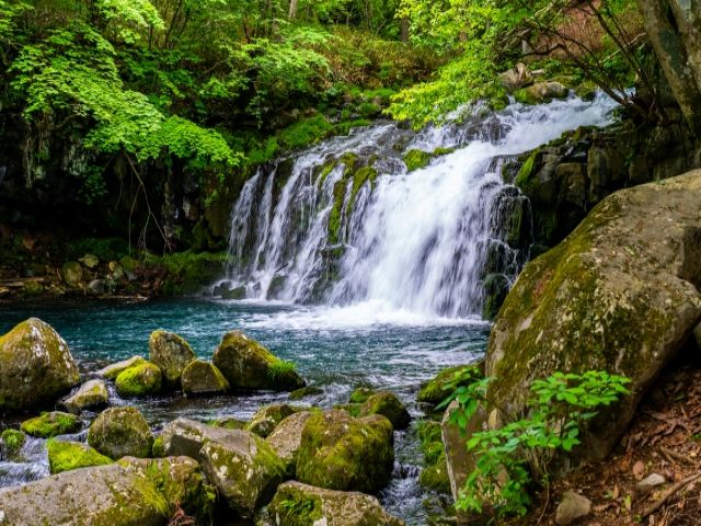 蓼科は自然がいっぱい！素敵な自然スポットもたくさんあります！お休みの日に体験してください♪