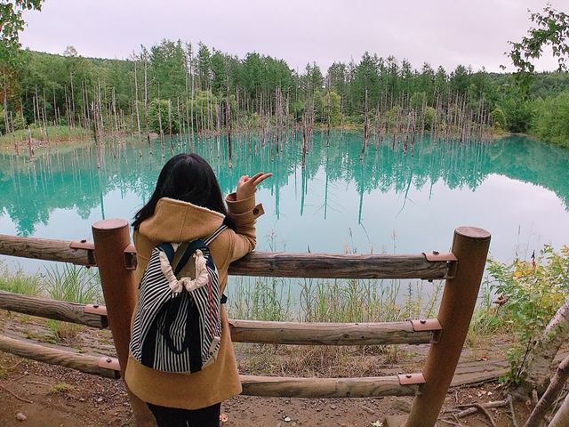 歩いて20分程度の【青い池】は有名観光地です♪一度は訪れてほしいスポット☆