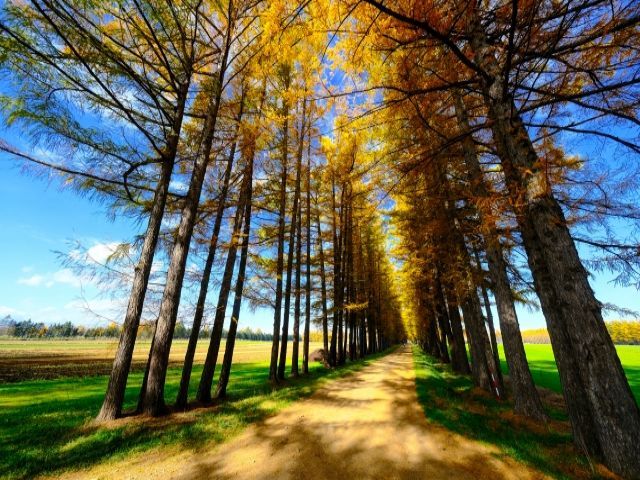 旅好きにはたまらないエリアです！