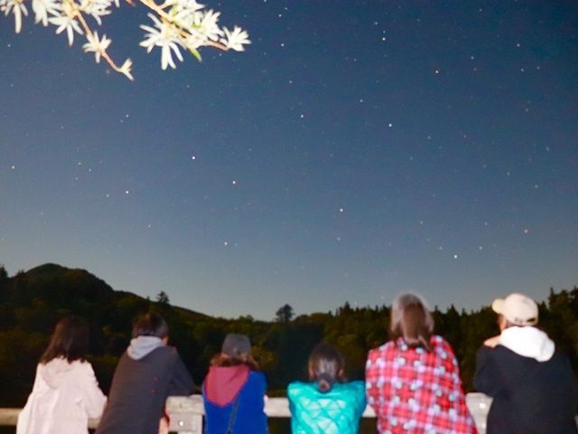 北海道の自然を満喫しませんか？