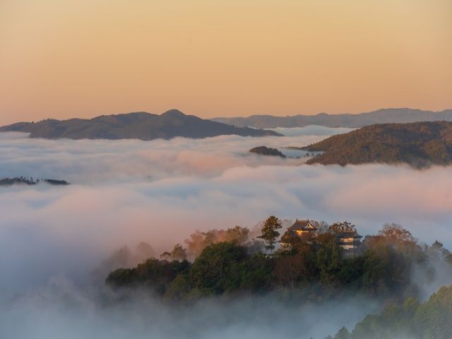 雲海の備中松山城！！