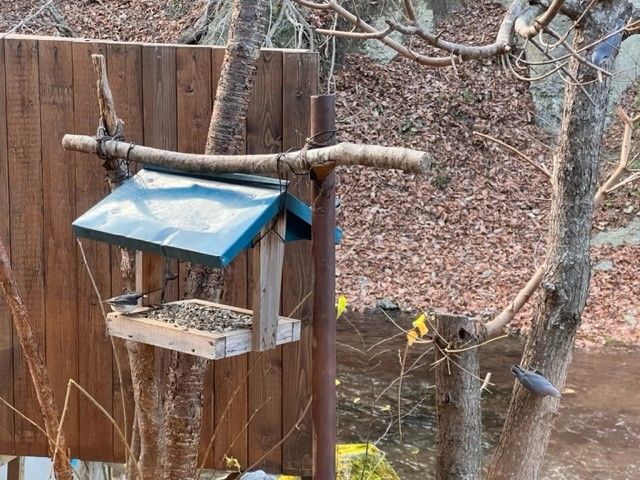 いざ！秘境へ♪