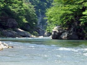 大きな鬼怒川を眺めよう！