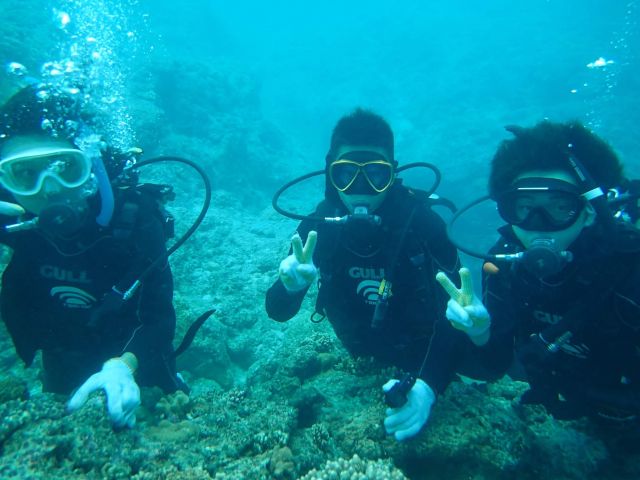 沖縄へ来たら是非ダイビングにもチャレンジしてみては？
まだ見ぬ世界がそこにはあります…。