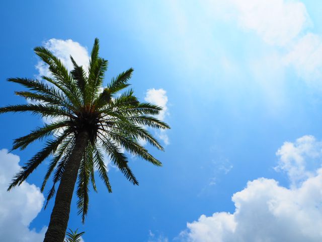 これぞ沖縄！なスポットが盛りだくさん♪
思いっきり南国リゾバ出来ます！