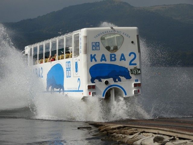 山中湖には陸からそのまま湖へダイブする迫力満点の水陸両用バスのアクティビティがあります！！