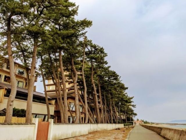 海沿いでのお仕事で、天気が良いと眺めが最高です！！