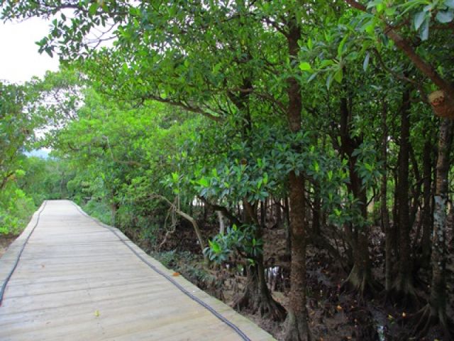 園内は豊かな自然がたくさん！