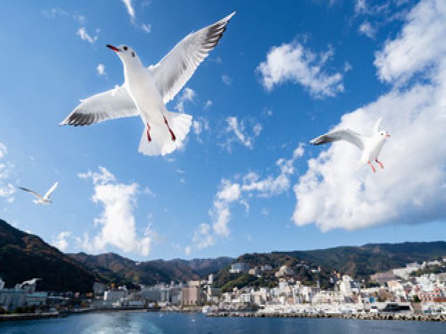 熱海近辺にお住まいの方限定！！