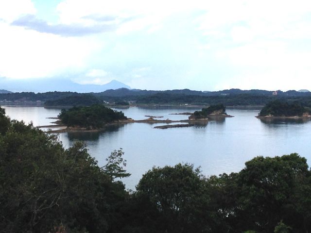 海の幸も豊富です！