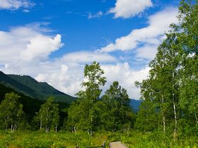 ゴルフ場が隣接してます♪自然に囲まれたエリアなので空気もキレイで星空は最高です★