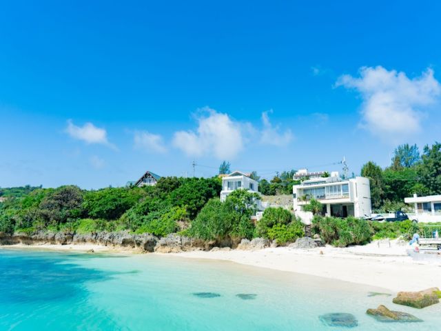 沖縄県北部のエリアでございます。
お休みはジャングリアや美ら海水族館へ観光も！！