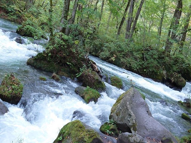 路線バスが通っているので奥入瀬渓流まで足を伸ばすことも出来ます。
