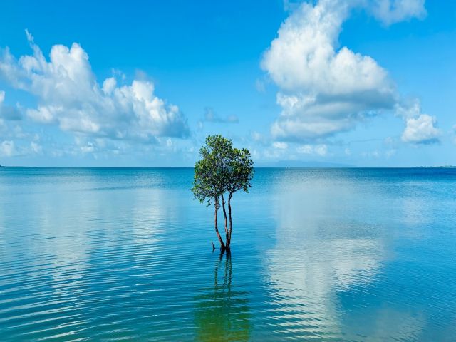 滅多に行くことのない離島での生活！わくわくしますね。