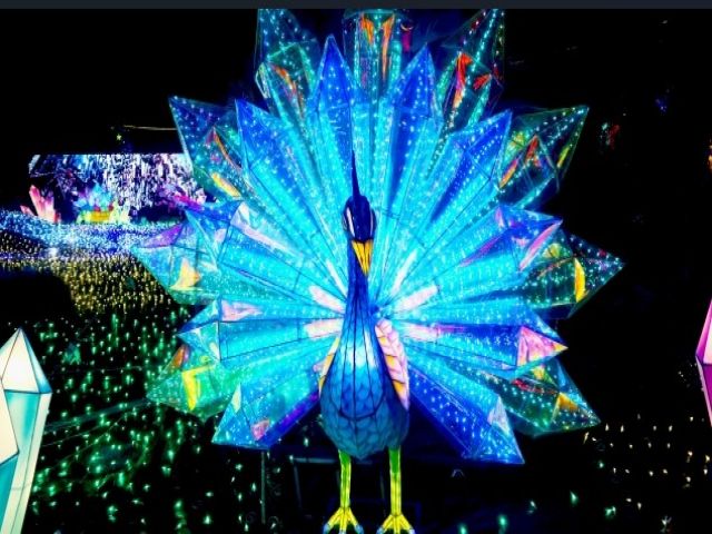 イルミネーション★