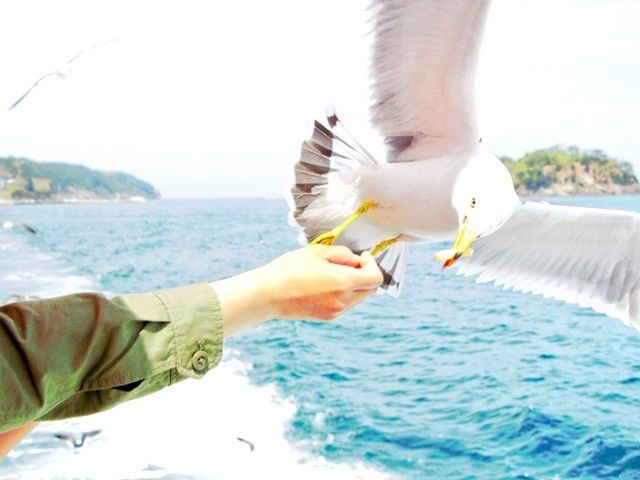 休日は海へ観光に行くのもあり♪