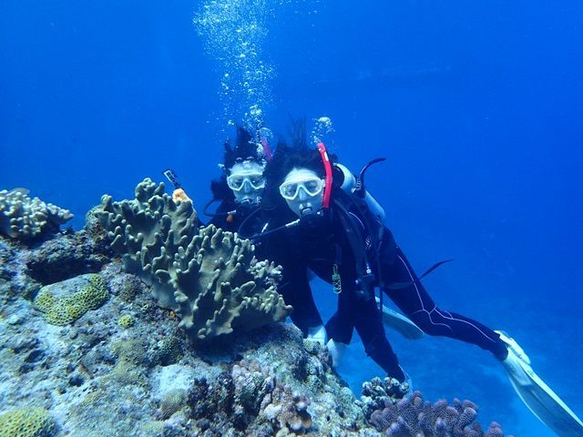 多くのスポットが満載でまさに天然の水族館っ☆